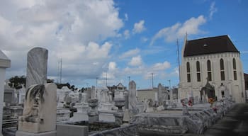Saint Roch's is one of the older cemeteries in New Orleans.  Make sure to check out inside the Chapel.  There are some odd offerings inside, very interesting.  Check out more photos - http://turtlestravel.com/cities-dead-new-orleans-cemeteries/