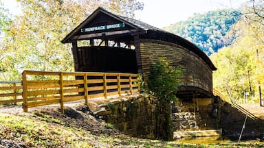 Such a neat covered bridge.