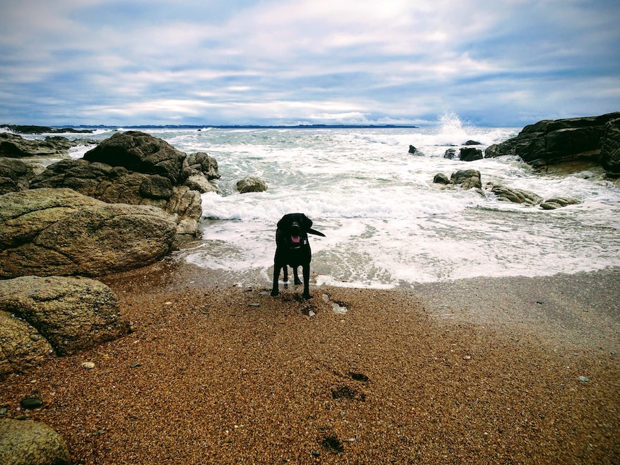 Winter in Brittany.