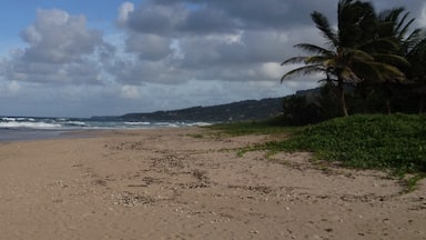 Nice, secluded beach 