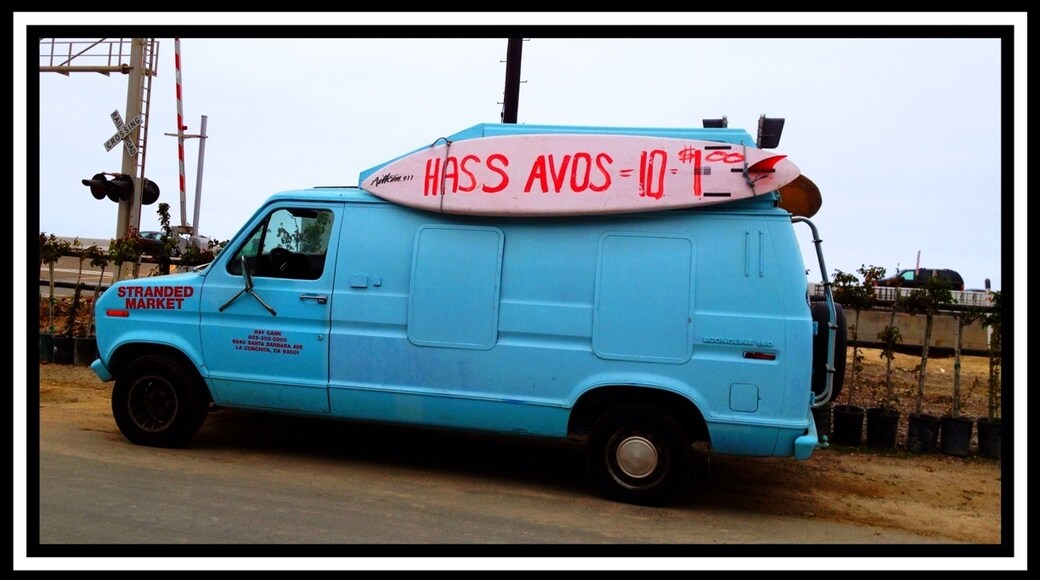 Ảnh của Terry Fletcher