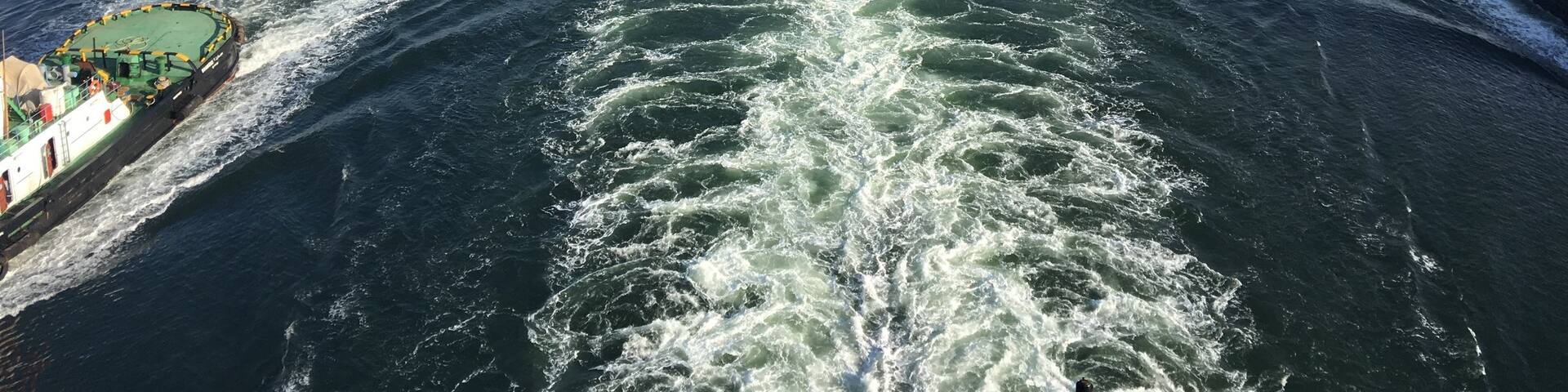 Cruising through the Suez Canal was fascinating! #lifeatexpedia