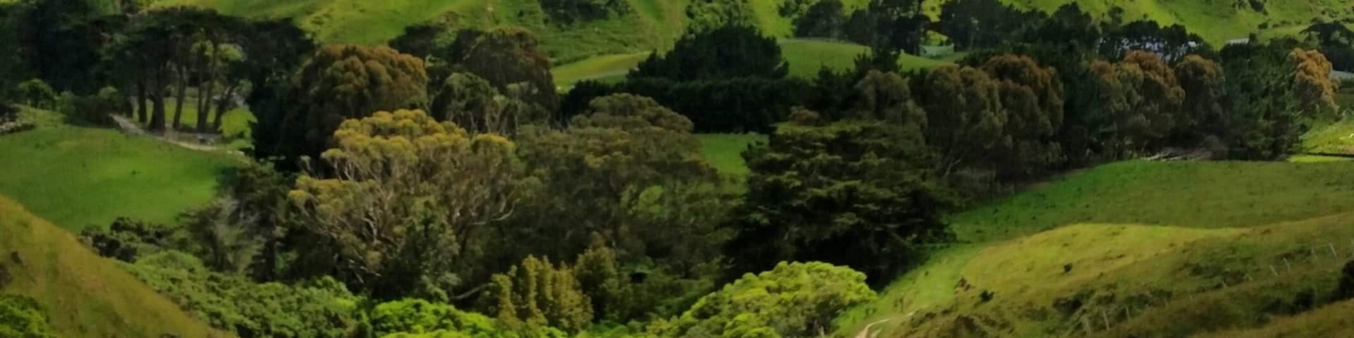 We rode some horses up to get these stunning views of the Ohariu area near Wellington.  Everything is so lush and green.
