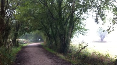 This 800 km pilgrimage takes you from Northern France across Northern Spain to Santiago de Compostela. ( Just a typical countryside view )