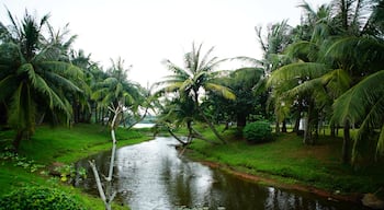 Close to the beach, garden in Chinese style, with tropical trees and plants. Relaxing! 