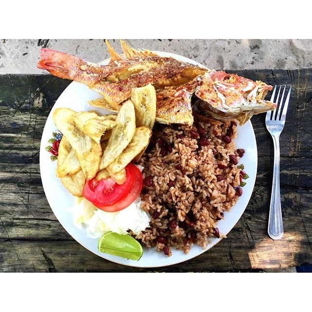 What's' that saying about "teach a man to fish"? Comida Catracho  Our lunch cooked by a family in the Jeanette Kawas Nacional Parque just outside of Tela, Honduras. You can't beat the fresh catch! Delicious!