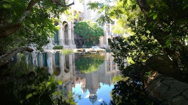 Reflection of the Palace of the Lost City in one of the ponds on the opposite shores. Palace breaks through densely bushed climate controlled rain forest on a path that meanders. 