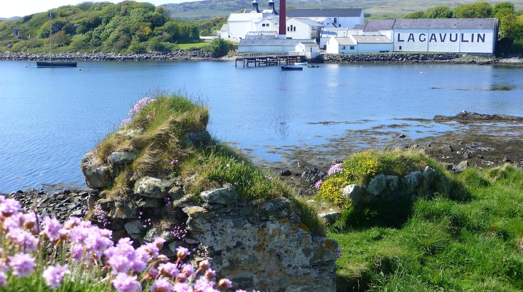 Islay Island, Skotland, Storbritannien