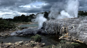 The Pōhutu Geyser and the Prince of Wales’ Feather in activity #NewZealand #Roadtrip