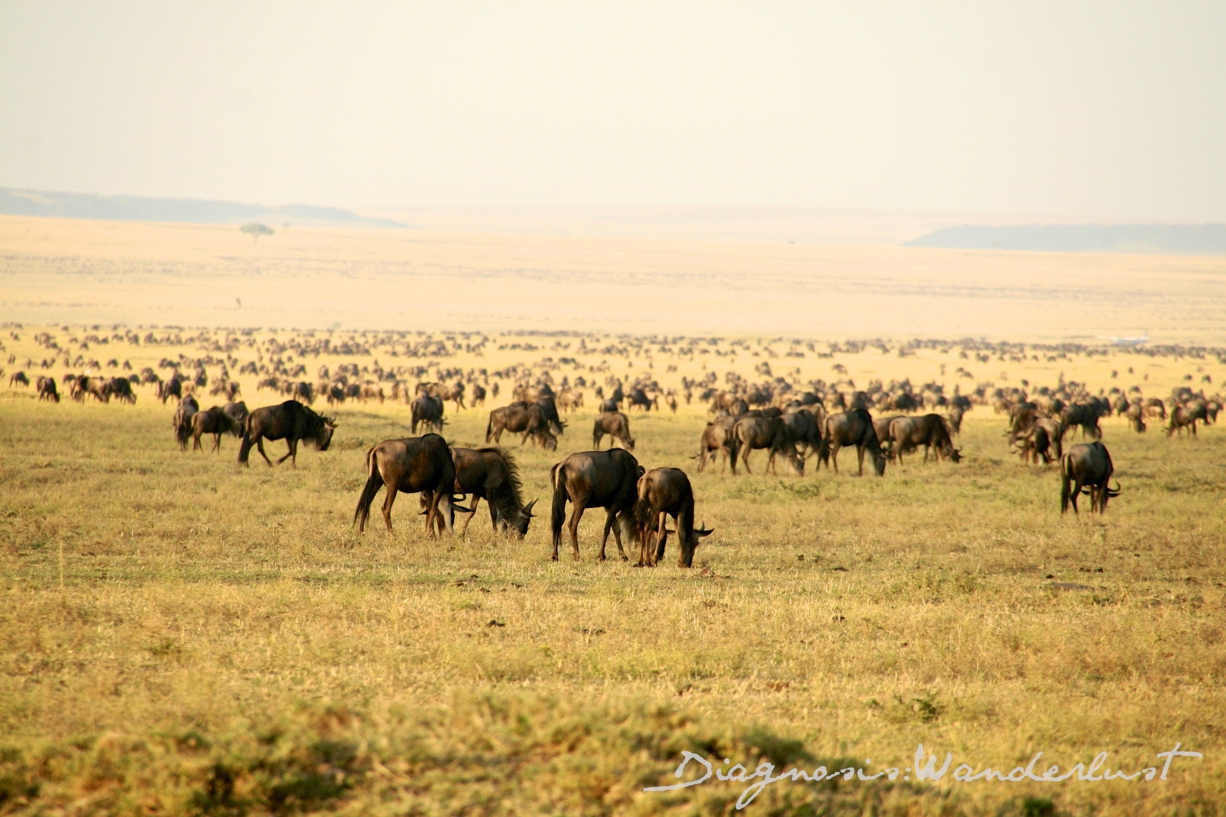 Mara Triangle, KE holiday holiday houses & more Stayz