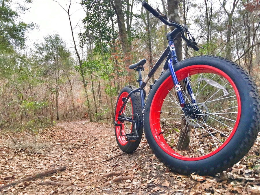 San Felasco has numerous bike trails, from easy to really hard. I didn't get to go on them all but the ones I did were a lot of fun. Mixed terrain, from farmland to grassy trails to switch backs. And they are designed for only bikes, there are also hiking and horse trails in the park.