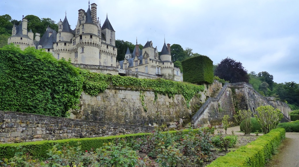 Chateau d'Usse, Rigny-Usse, Indre-et-Loire, France