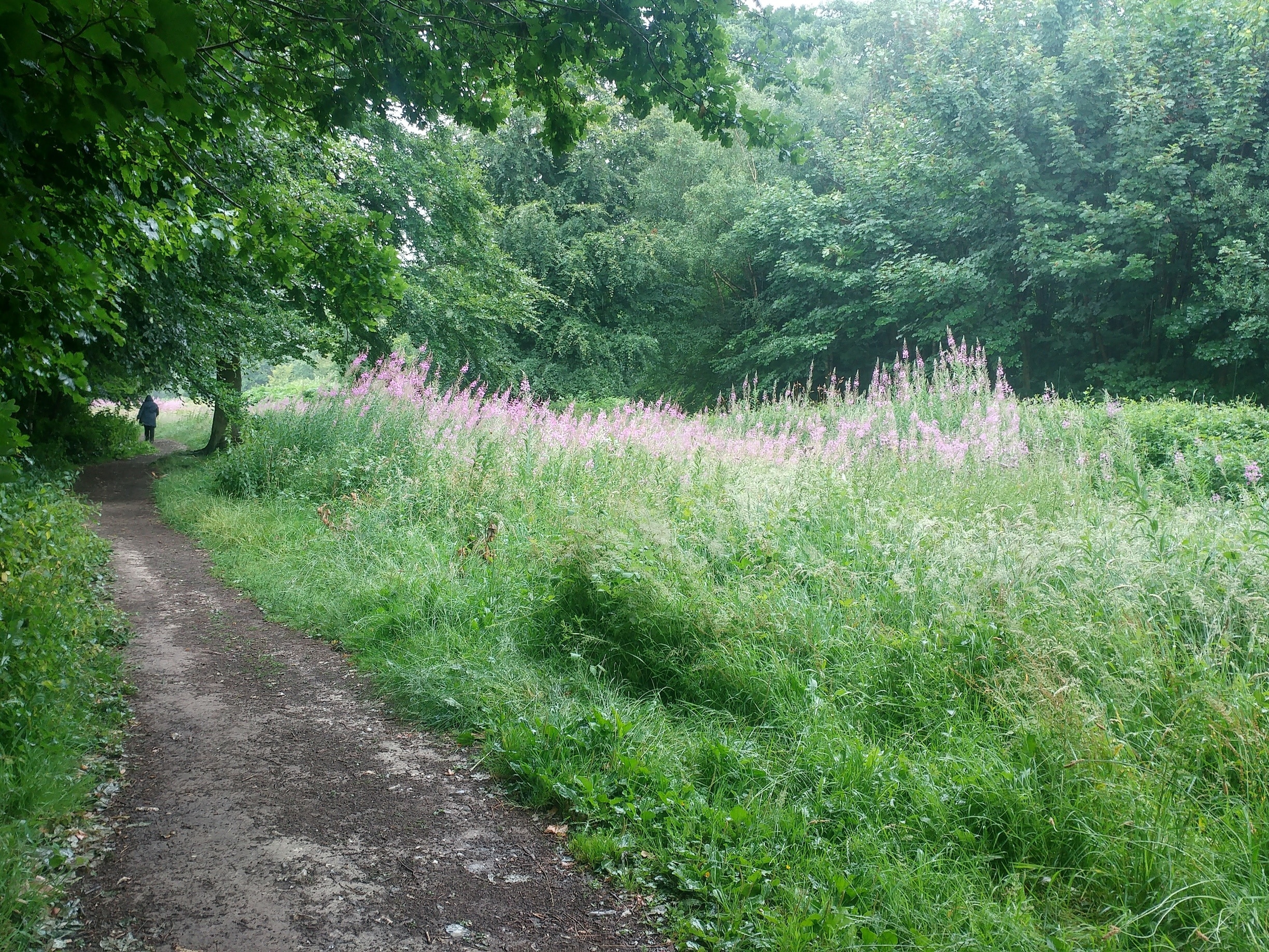 Foto von Anthony Fawkes