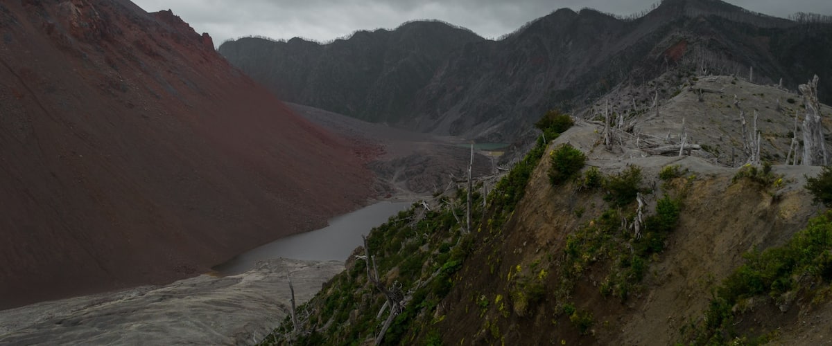 At Pumalin National Park, you can find this short but exigent trekking to the dome of the Chaiten volcano. This is an active volcano. Last eruption was in 2008.
#Chaiten #Carreteraaustral #Patagonia #Chile #Pumalin