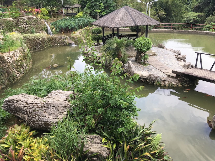 Gardens behind museum