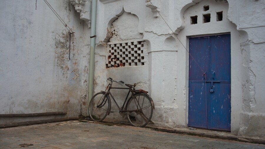 A solitary bicycle stands in a courtyard at Raja Mahal, Orccha.
This little town is a lessor known gem that lies deep in the state of Madhya Pradesh, a 5hr train ride from Delhi.
Orccha has an incredible collection of over 30 ancient temples and meanders down to the Betwa River, a tributary of one of Indias great rivers, 'The Yamuna'
#India #MadhyaPradesh #Orccha