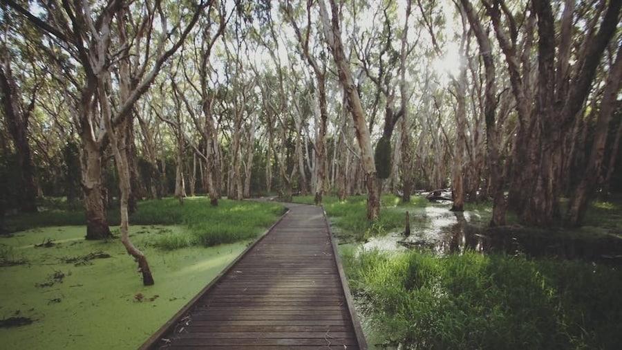 Water Bird Habitat Conservation Area