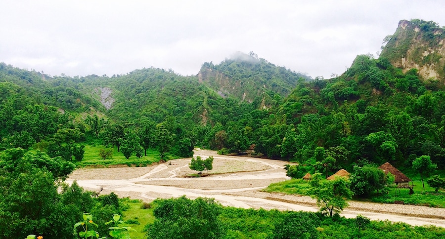 Timli forest range in the foot hills of Shivalik in Dehradun district of Uttarakhand.