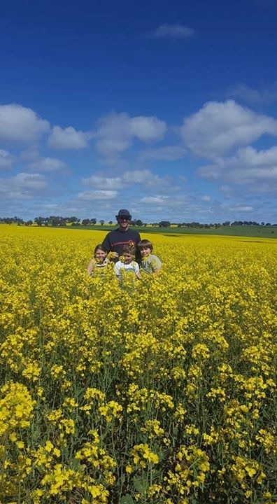 Canola fields,near York. About 1 hour drive east of Perth