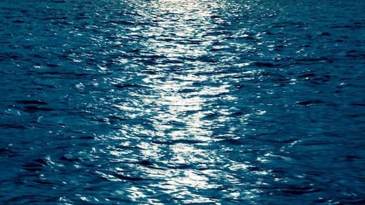 Photo by Ч. Дорж