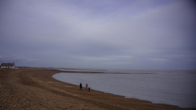 Starting at a single row of cottages known as Shingle Street, you'll head up the coast to the river mouth at Orford Haven before cutting inland through fields and along well-signposted tracks and lanes back to the start.

Why it's special 
From the Martello tower that marks your starting point, built to protect England from invasion during the Napoleonic wars, to some well-preserved second world war pillbox defences, this walk has an impressive military pedigree. Just up the coast is Orford Ness, where the first experiments with radar were conducted in the 1930s, while Shingle Street itself has been the subject of fevered speculation ever since it was evacuated in 1940. Conspiracies include rumours of a German landing and a shoreline littered with burning bodies, schemes to protect the coastline with an impenetrable barrage of flames and the testing of experimental chemical bombs. Four dead German airmen were certainly washed up on the beach, and weapons testing did result in the Lifeboat Inn being blown up. As for the rest, the conspiracy theories rumble on.

Find the whole walk here
https://www.theguardian.com/travel/2009/jun/08/shingle-street-walking-guide-suffolk

How to get there
By car 
From Ipswich, take the A12 towards Woodbridge, then the A1152 towards Melton. Take the second exit at the roundabout after the river, towards Hollesley, then follow signs to Shingle Street.

By public transport 
Take the Ipswich-to-Lowestoft train and get off at Melton, but it's an 11km walk to the start, mostly on minor roads with no pavement.

#beach #coast #coastal #suffolk #uk #england #britain #walk

