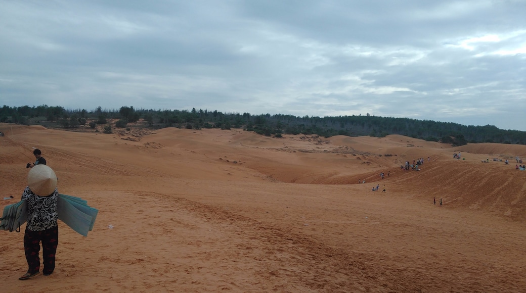 Red Sand Dunes, Phan Thiet, Binh Thuan Province, Vietnam