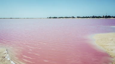 Contrary to popular believe, Las Coloradas is not a beach, but a saline. Is the bacteria that are used to produce salt which gives the water its pink color. You can't swim nor drink this water #GreatOutdoors.