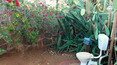 Camp Itumela is a small campsite in Botswana close to the border of South Africa. Their toilet is a little gem, hidden between the cactus plants and red flowers, exposed to the open air. It gives a whole different meaning to going to the toilet #localgem 