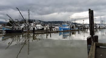 The harbour/marina in Bellingham, Washington. 

#Bellingham
#Washington