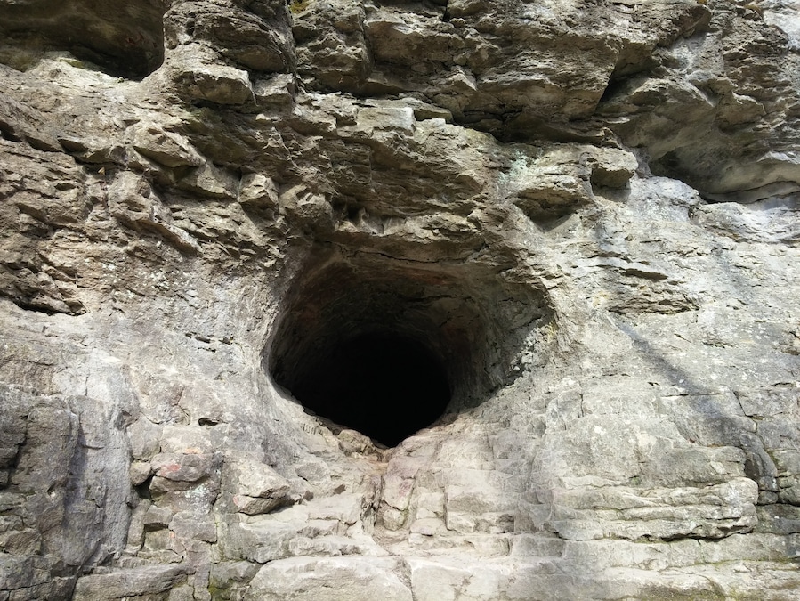 Just past the falls, there is a small crawl-able cave in the limestone cliff side. The cave probably goes 6-8 feet back before taking a left and heading an additional 10-12 feet. Beyond that, it gets a little narrow for my liking.