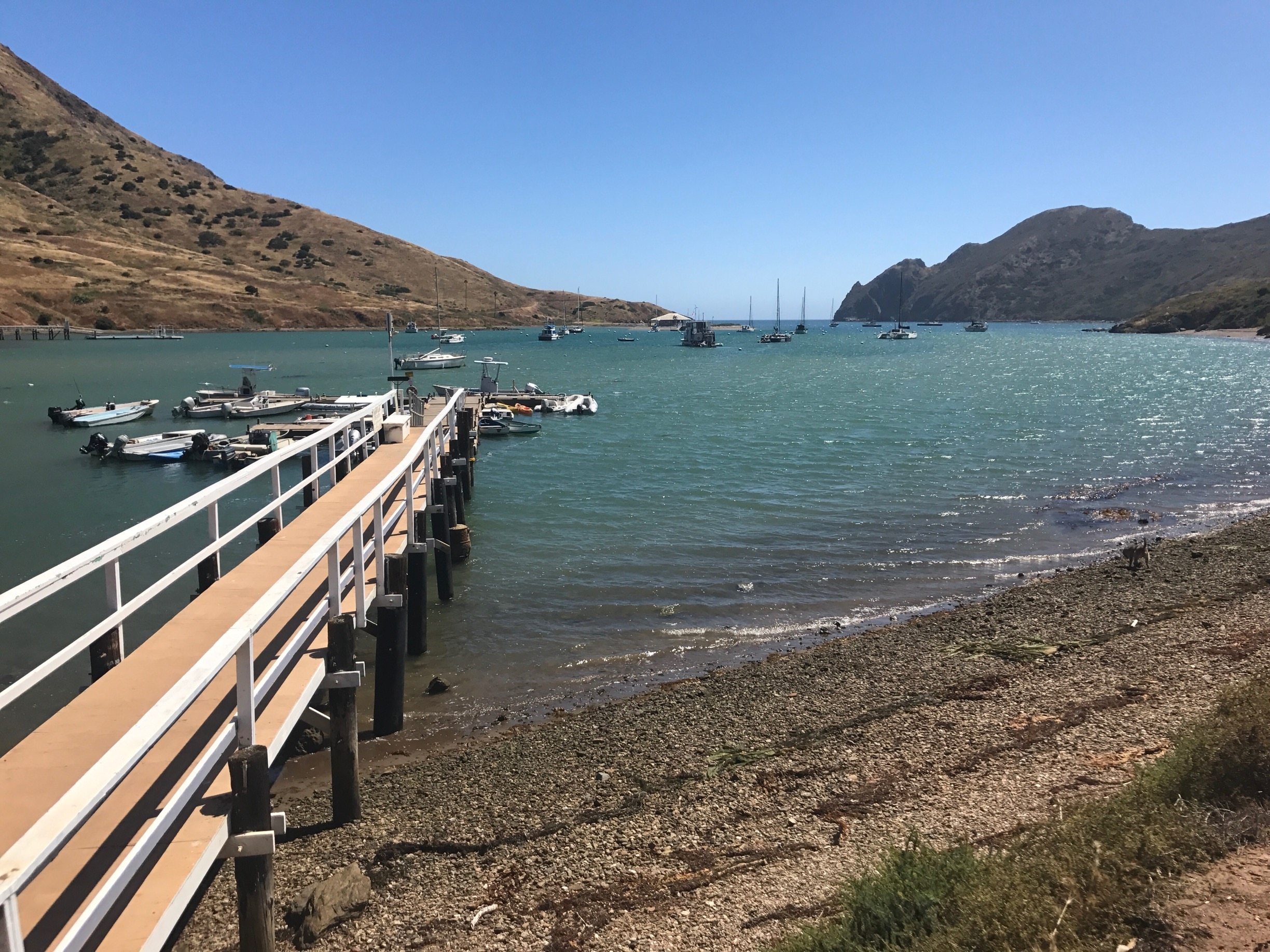 Sanger, CA, US Vacation Rentals house rentals & more Vrbo