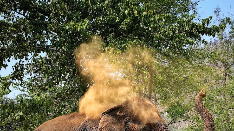 After a nice bath in the river. It's time to put back on the sunscreen. #LifeAtExpedia