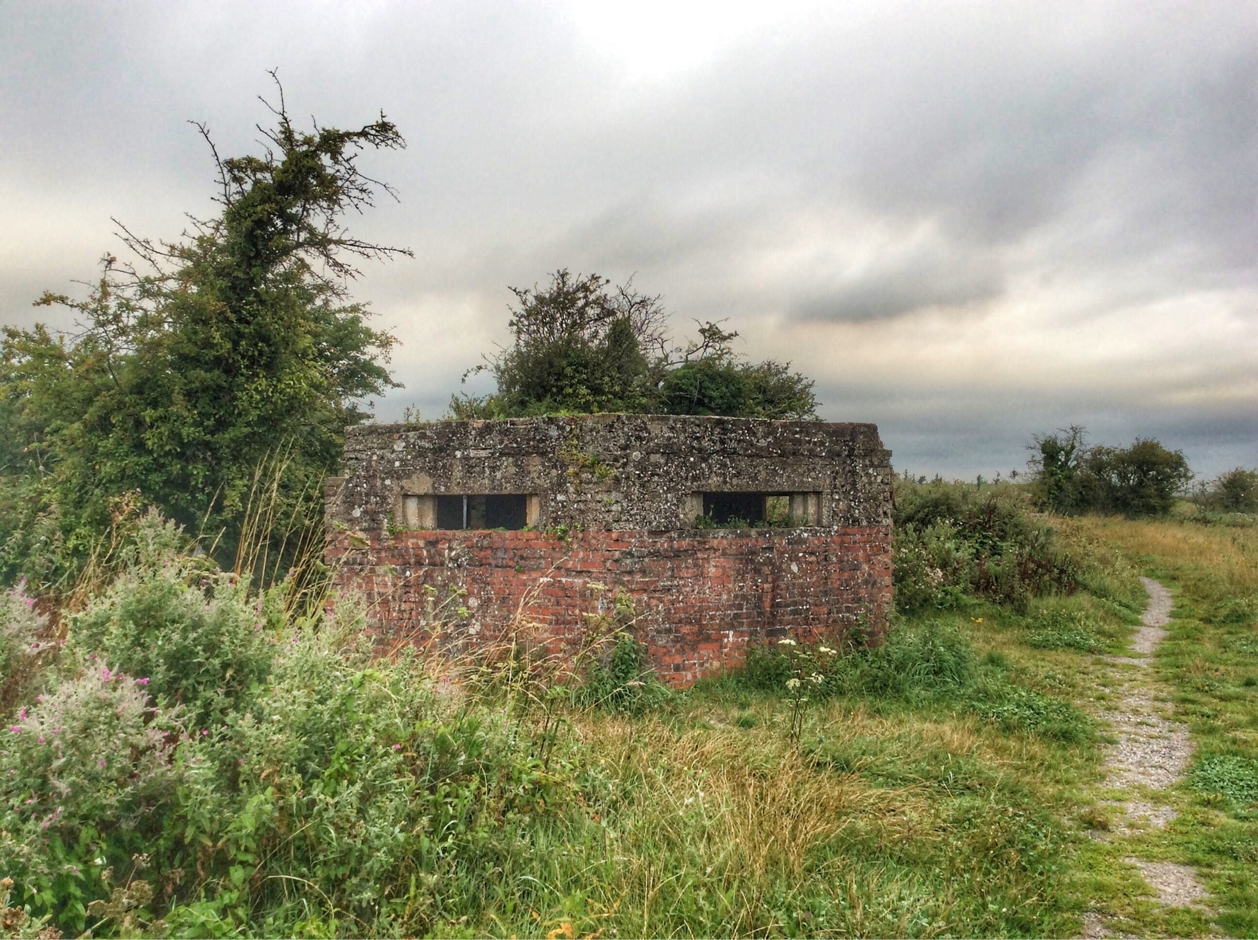 Foto tomada por David Mason