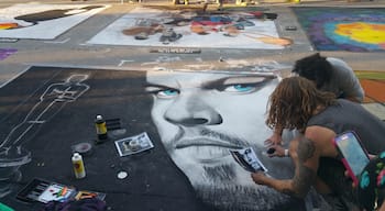 It was a great experience to see first hand how these amazing 3D street artist put their talents to work.