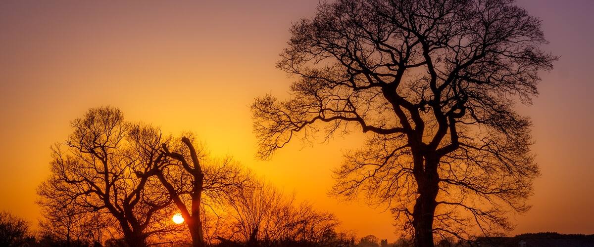 A fantastic sunset on the way to Wooten St Lawrence.