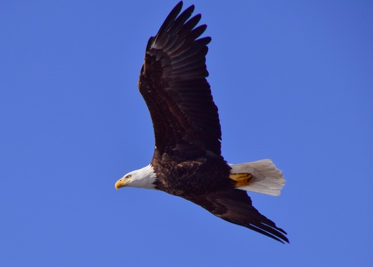 Davenport, Iowa, United States of America