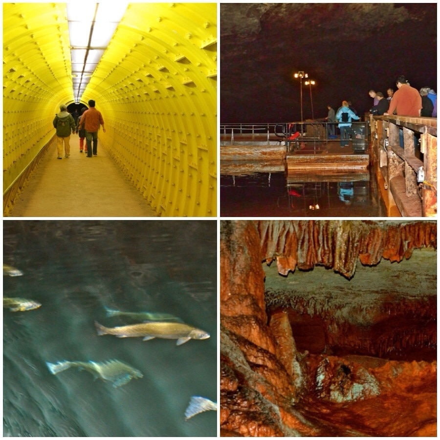 The Lost Sea is America’s Largest Underground Lake and Registered National Landmark.  Because of the Civil War History within the caverns the Lost Sea has also been designated a Civil War Trail Marker.