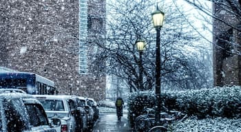 Snow day in Virginia

#Snow #Virginia #UniversityOfVirginia