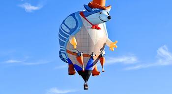One of the many cool speciality balloons that flew on the last Saturday of the fiesta.
