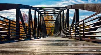 This is the bike trail bridge over the mouth of Winooski River

#Trovember