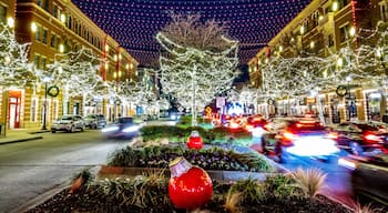 The holiday light show at Frisco’s city square is very impressive and set to music which viewers can tune in on their car radios for free.