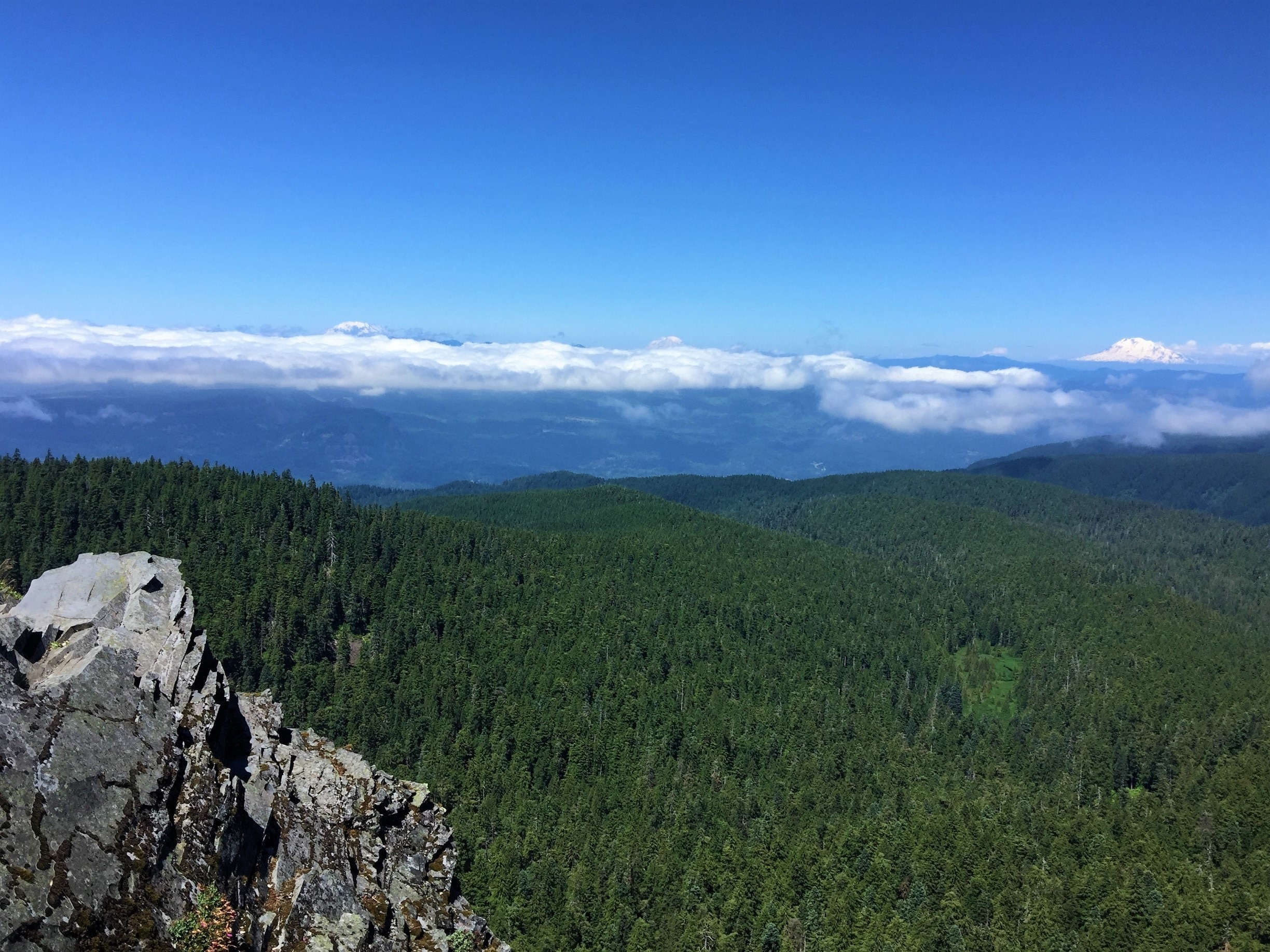 This was taken at the Summit of Larch Mountain. In the distance three terrible beauties can be seen: Mt St Helens, Mt Rainier (my favorite), and Mt Adams.