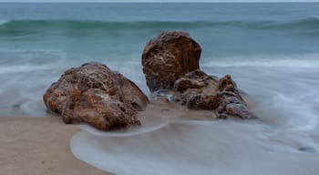 One of the places I go to most for photography. Lots of different rock formations at this beach. 