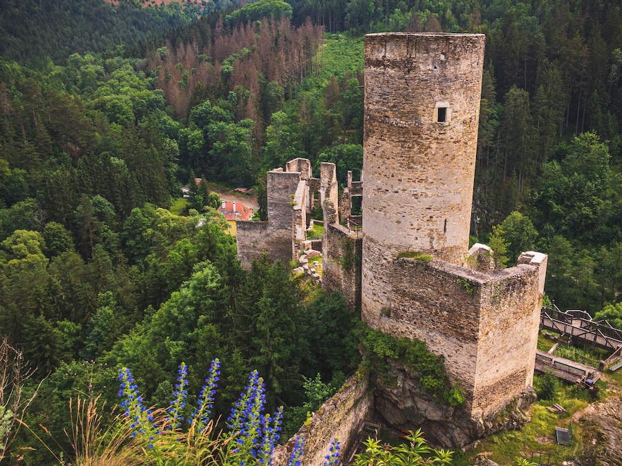 Kollmitz Ruine