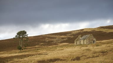 This is where my sister lives, its a great place for walking and exploring. On one of my walks, I found this abandoned house in the middle of a field amongst sheep. A very peaceful, but windy and chilly walk.

#LifeAtExpediaG​roup