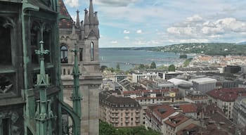 View from the south tower of Saint-Pierre Cathedral.