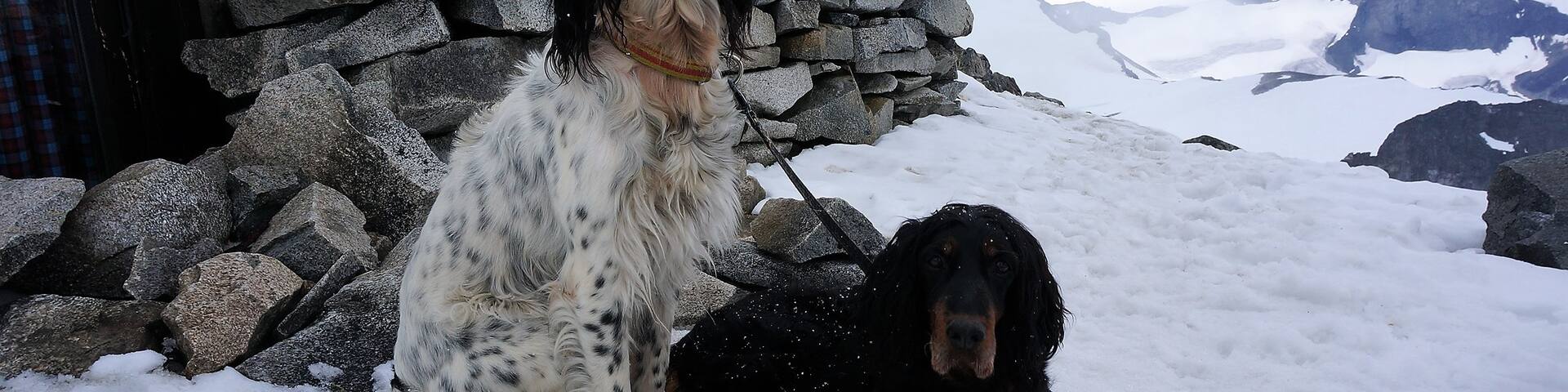 Summit of the highest point in Norway.
