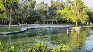 A Central Florida hidden gem (but let's keep it that way) is Kelly Park. #Trovember Fed by the Rock Springs Run, the park is the perfect natural lazy river. You can rent tubes outside the park, but spend a few bucks and bring your own flotation. There are several pavilions to use, if they aren't reserved, but also lots of shady spots. The trails around the area are wonderful, and there is always the playground if the kids get bored of the water and beach. Best to go when kids are in school because the park fills by 10am during the summer. It is a perfect getaway from Orlando city life.