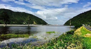 #newzealand #greymouth #nature #green 🌿🌱🍃