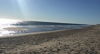 We love staying at the Delaware beaches in the fall.  The weather is perfect and the crowds are gone after the summer season.  

You can surf fish on the beach and dogs are welcome, so everyone can have a great time.